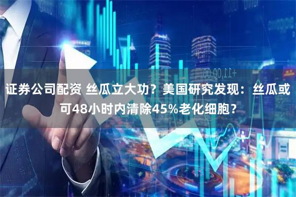 证券公司配资 丝瓜立大功？美国研究发现：丝瓜或可48小时内清除45%老化细胞？